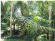 13 Blackmore Street, Windsor QLD 4030