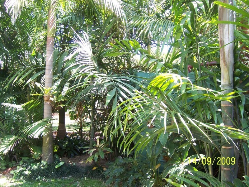 13 Blackmore Street, Windsor QLD 4030