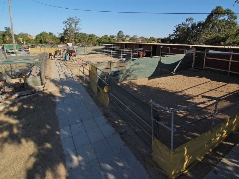 42A Desert Willow Way, Fitzgibbon QLD 4018