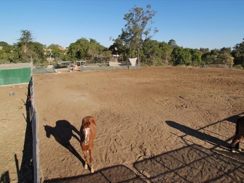 42A Desert Willow Way, Fitzgibbon QLD 4018