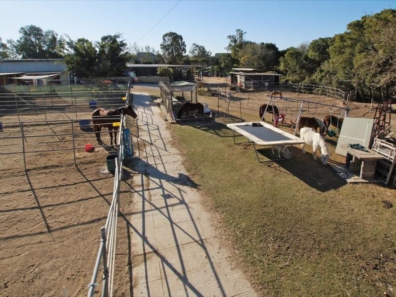 42A Desert Willow Way, Fitzgibbon QLD 4018