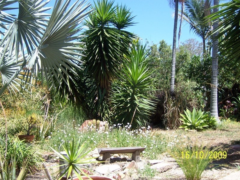 100 Lodge road, Wooloowin QLD 4030