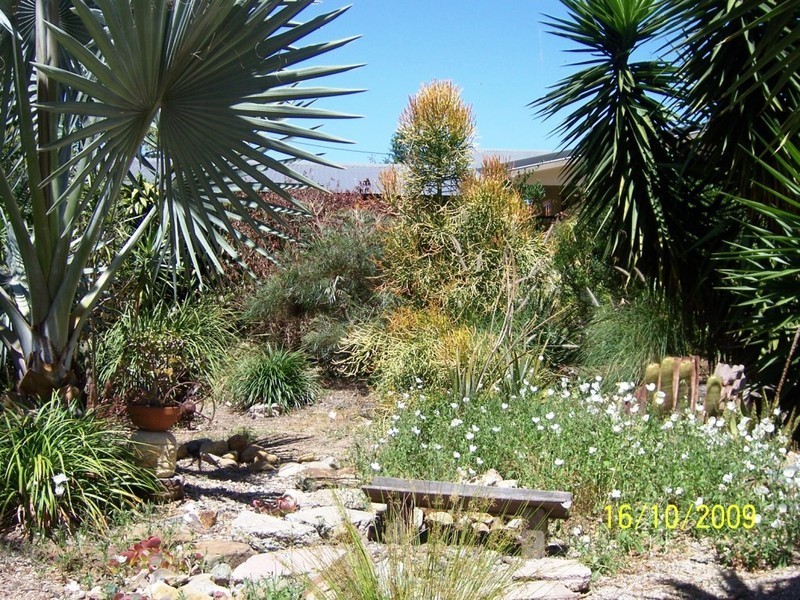 100 Lodge road, Wooloowin QLD 4030