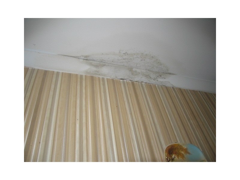 29 Lockrose Street, Mitchelton QLD 4053