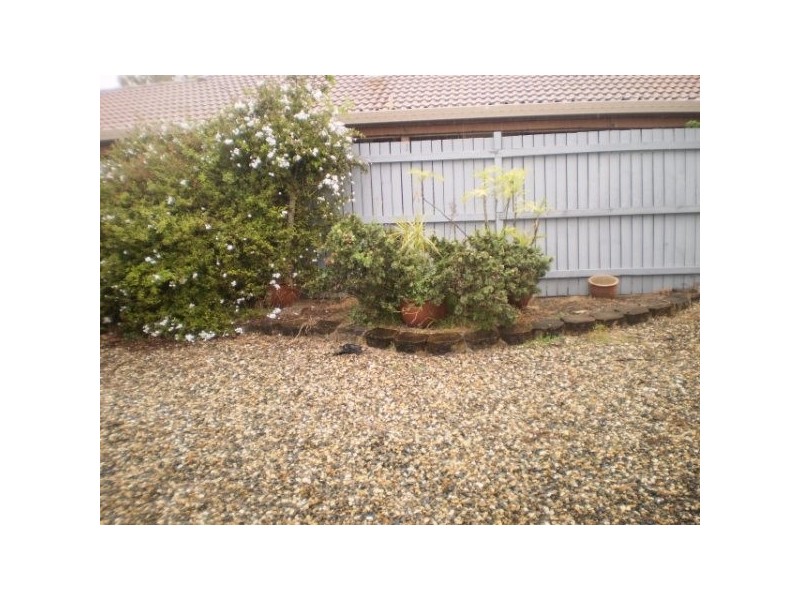 69 Balcarra Avenue, Carseldine QLD 4034