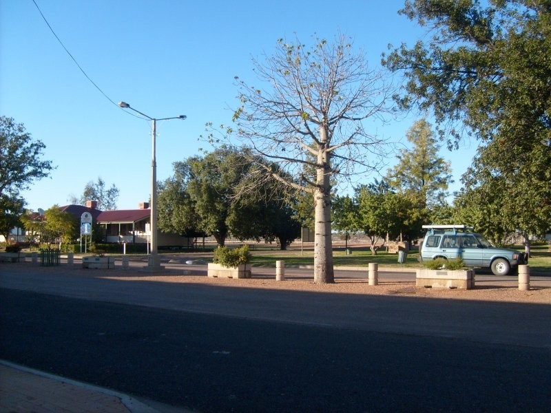 Dirranbandi QLD 4486