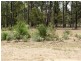 Blackbutt QLD 4306