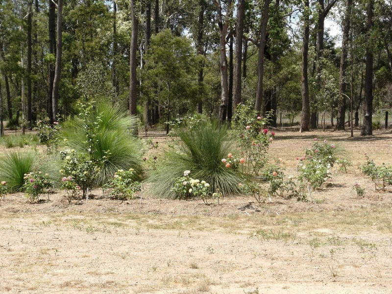Blackbutt QLD 4306