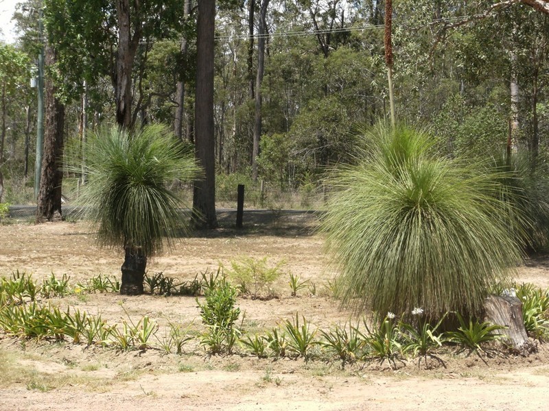Blackbutt QLD 4306
