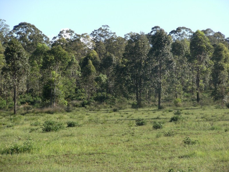 Blackbutt QLD 4306
