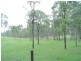 Nanango QLD 4615