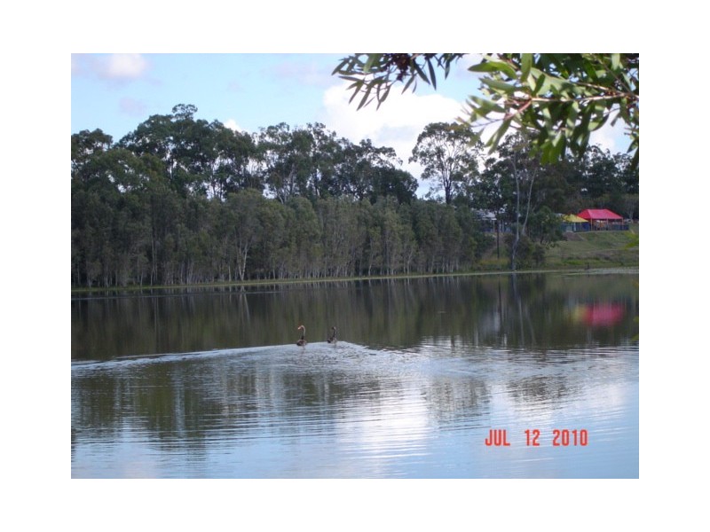 2 Whistler St, Mango Hill QLD 4509