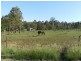 Blackbutt QLD 4306