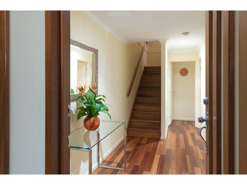 67 Erica Street, Cannon Hill QLD 4170