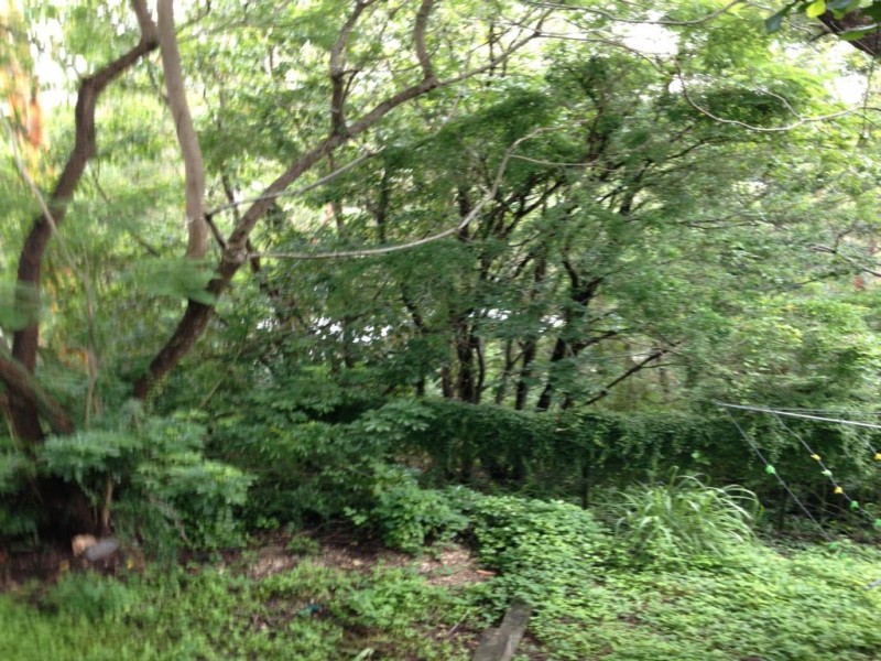 283 Birdwood Terrace, Toowong QLD 4066