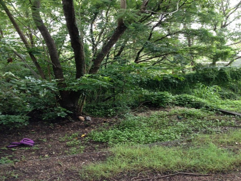 283 Birdwood Terrace, Toowong QLD 4066