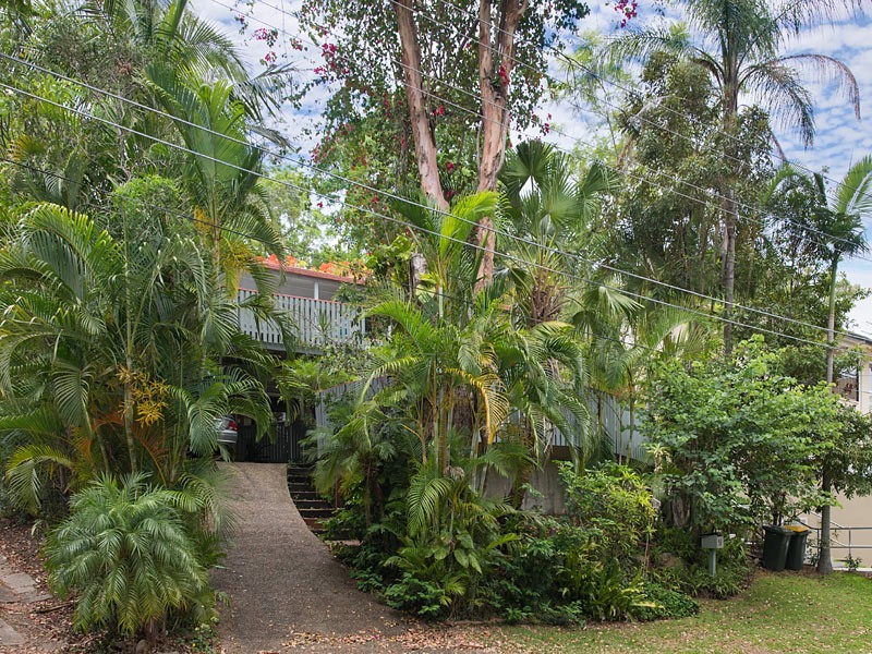 51 Hillside Terrace, St Lucia QLD 4067