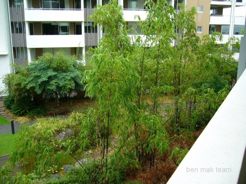 3407/141 Campbell Street, Bowen Hills QLD 4006