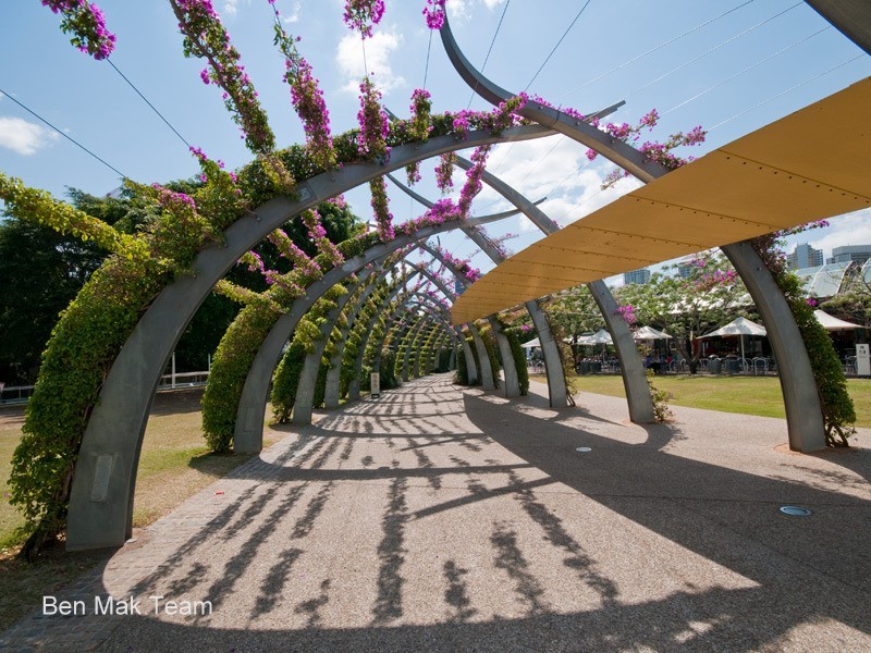 1105/174 Grey Street, South Bank QLD 4101