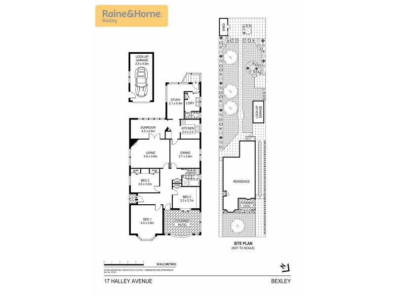 17 Halley Avenue, Bexley NSW 2207 Floorplan
