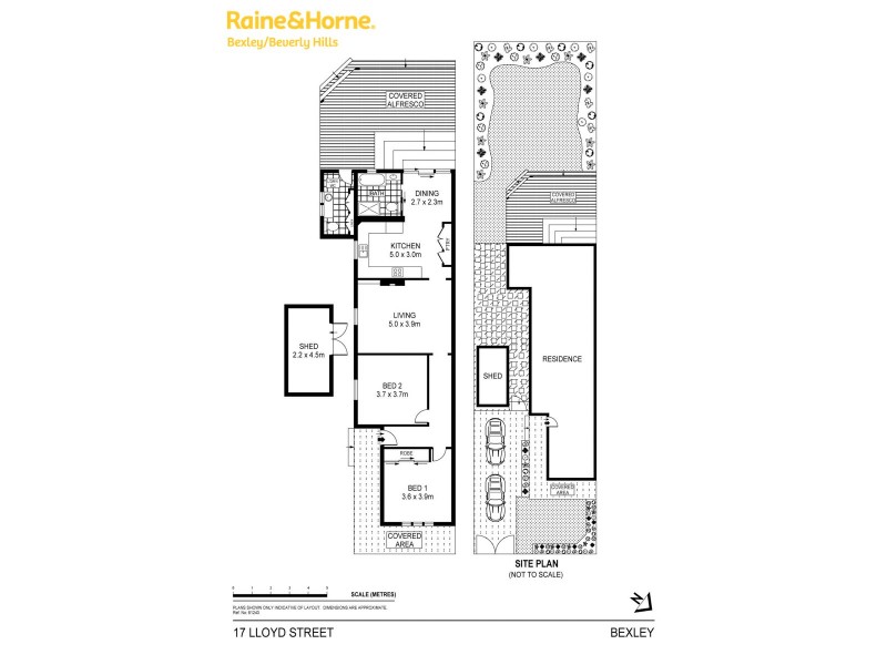 17 Lloyd Street, Bexley NSW 2207 Floorplan
