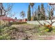 86 Harrow Road, Bexley NSW 2207