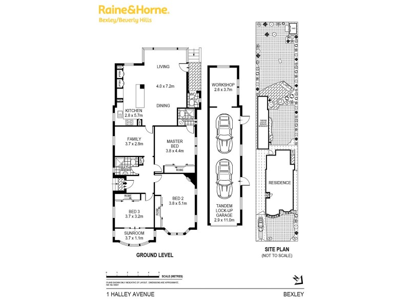1 Halley Avenue, Bexley NSW 2207 Floorplan