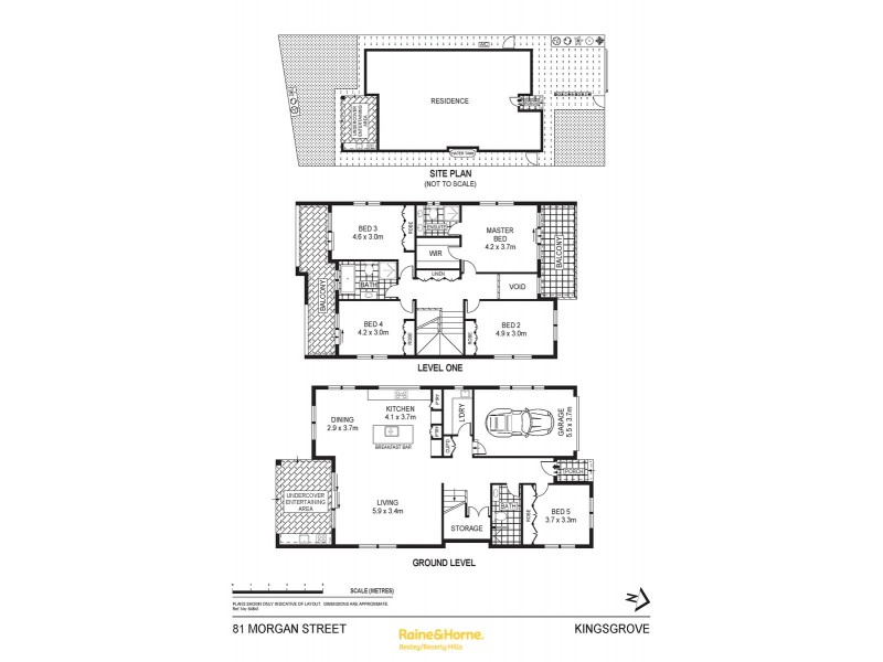 81a Morgan Street, Kingsgrove NSW 2208 Floorplan