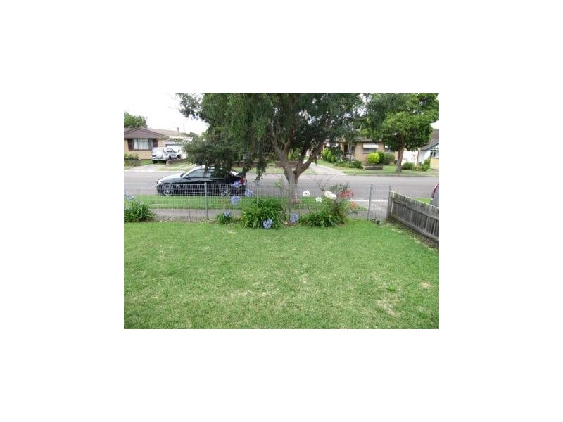 7 HAIG ST, Bexley NSW 2207