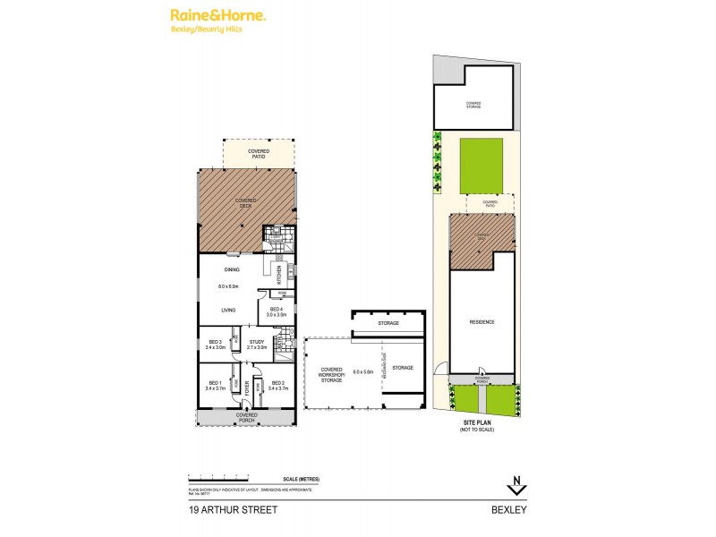 19 Arthur Street, Bexley NSW 2207 Floorplan