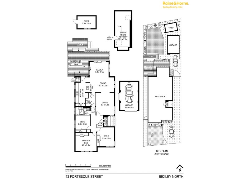 13 Fortescue Street, Bexley North NSW 2207 Floorplan
