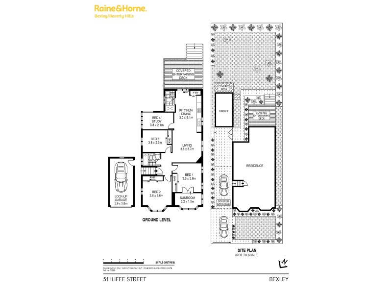 51 Iliffe Street, Bexley NSW 2207 Floorplan