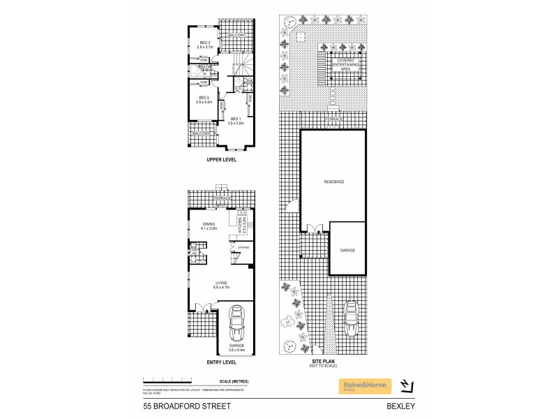 55 Broadford Street, Bexley NSW 2207 Floorplan