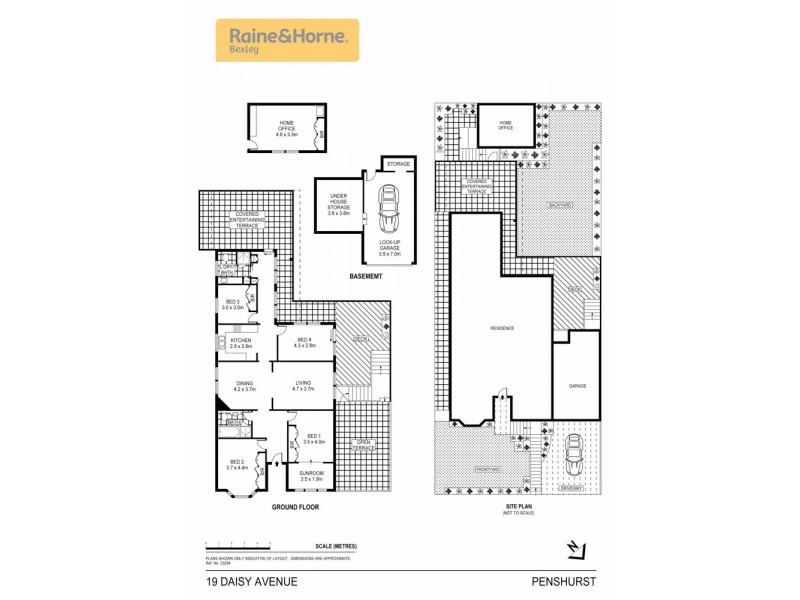 19 Daisy Avenue, Penshurst NSW 2222 Floorplan