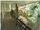 6 Spring Crescent, Dysart QLD 4745