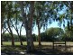 3 Wren Street, Slade Point QLD 4740