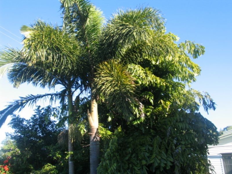 30 Hellwege Street, Hay Point QLD 4740