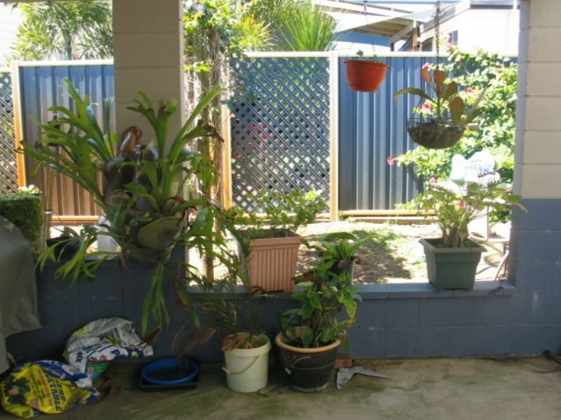 1 Cole Street, Hay Point QLD 4740