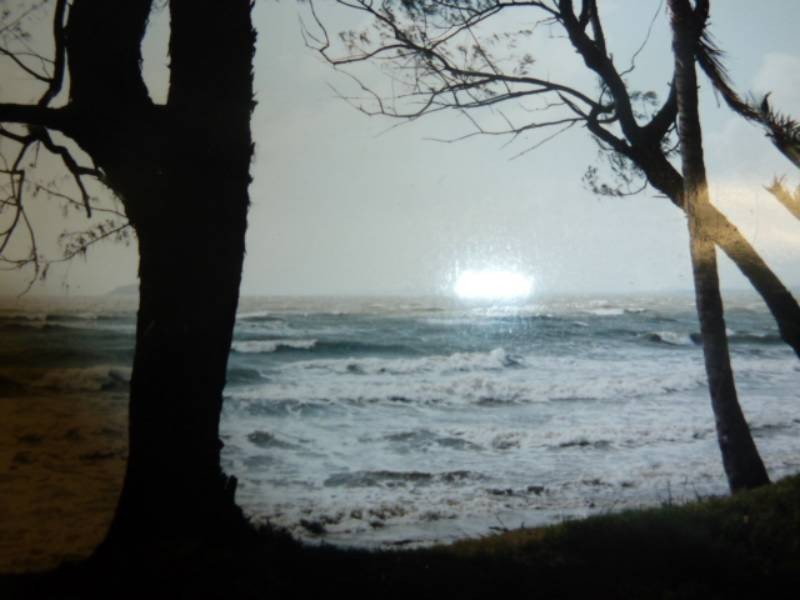 1492 Midge Point Road, Midge Point QLD 4799