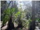 Capalaba QLD 4157