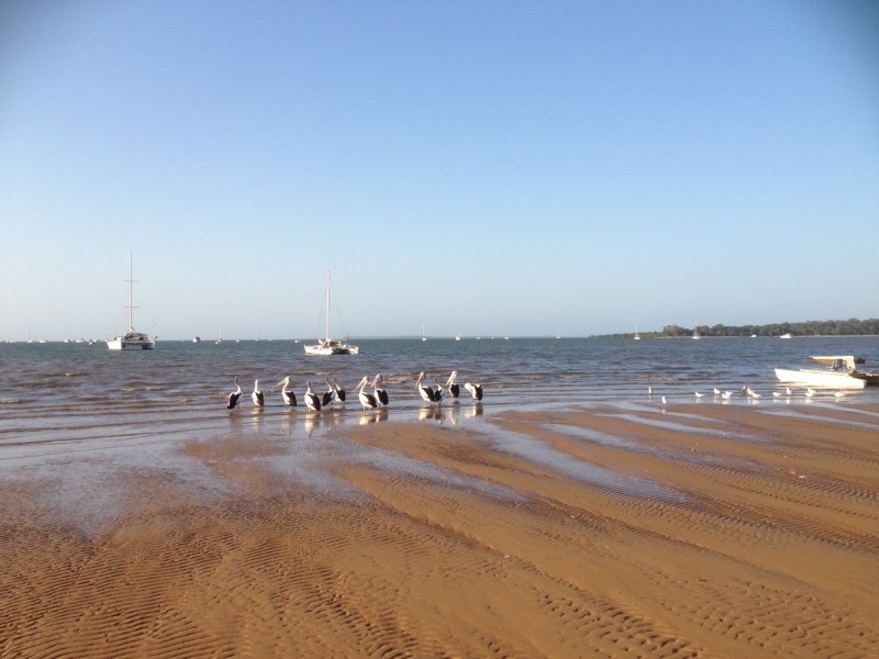 3 Hatchman Street, Victoria Point QLD 4165