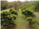 160 Pioneer Rd, Sheldon QLD 4157