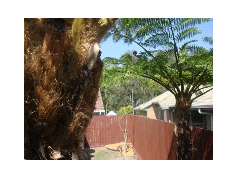12 Azure Street, Redland Bay QLD 4165