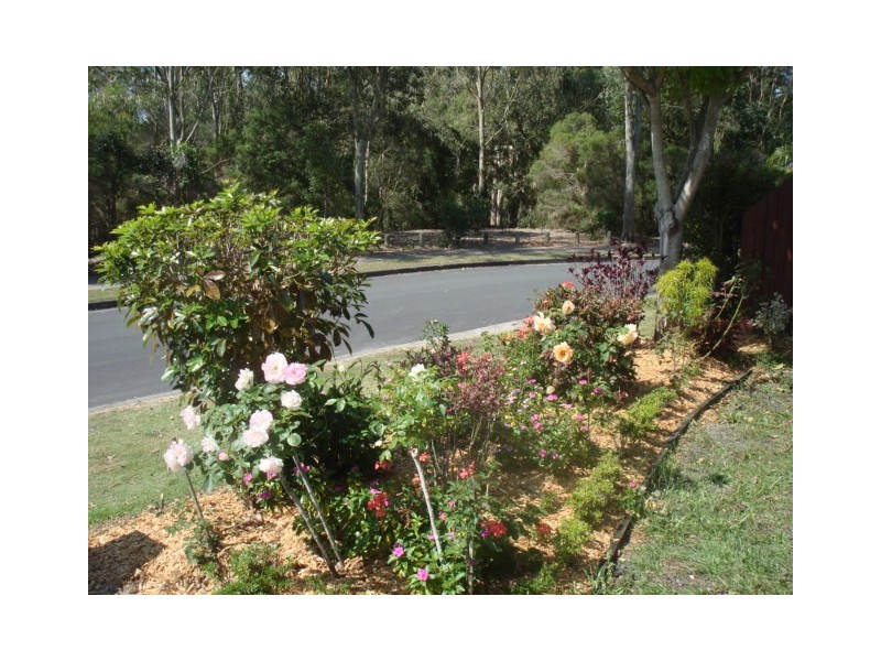 12 Azure Street, Redland Bay QLD 4165