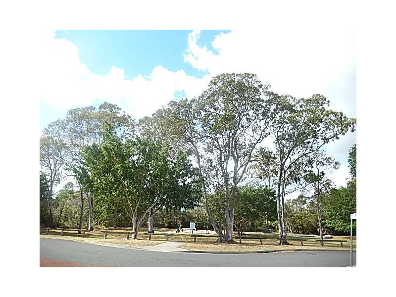 31 Moreton View Crescent, Thornlands QLD 4164