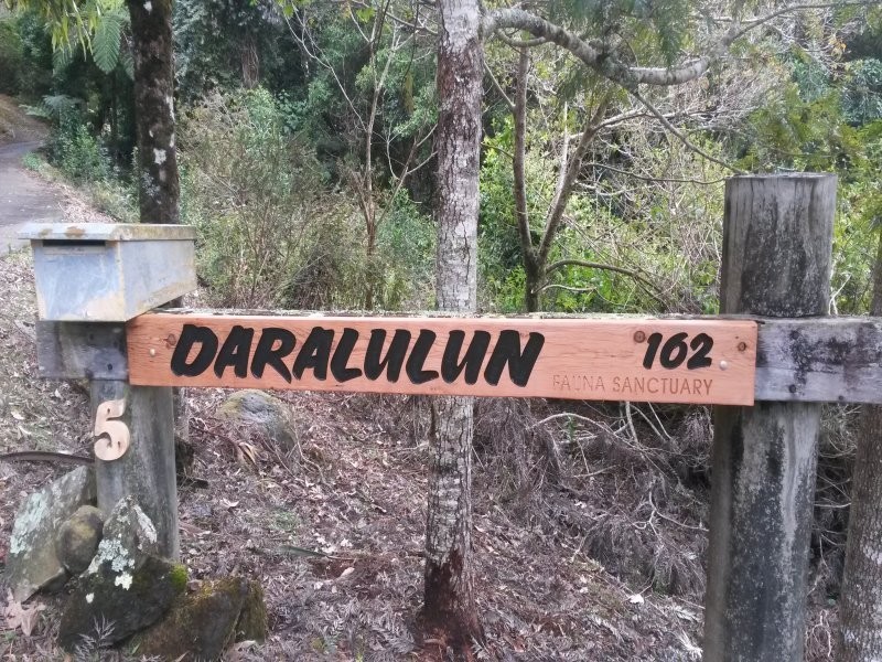 162 Repeater Station Road, Springbrook QLD 4213