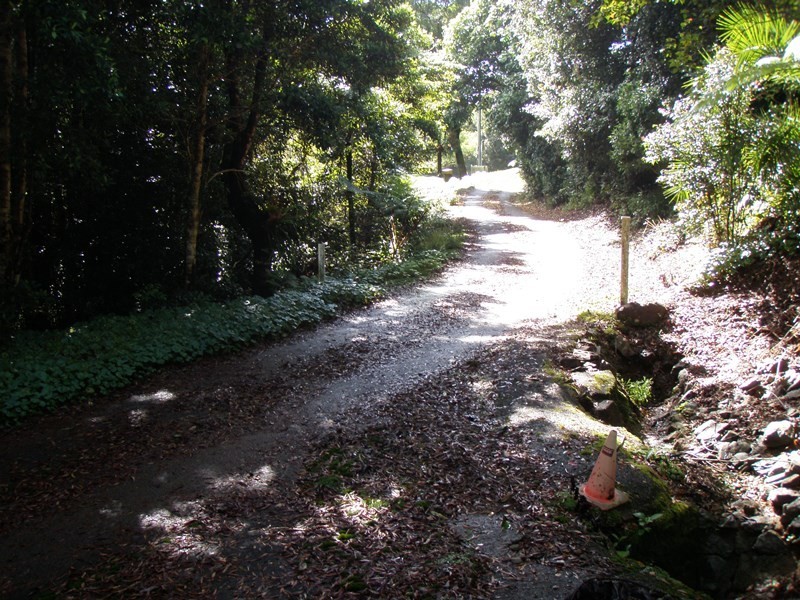 162 Repeater Station Road, Springbrook QLD 4213