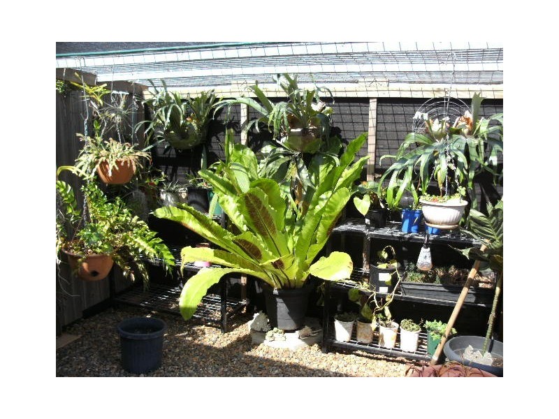 Victoria Point QLD 4165