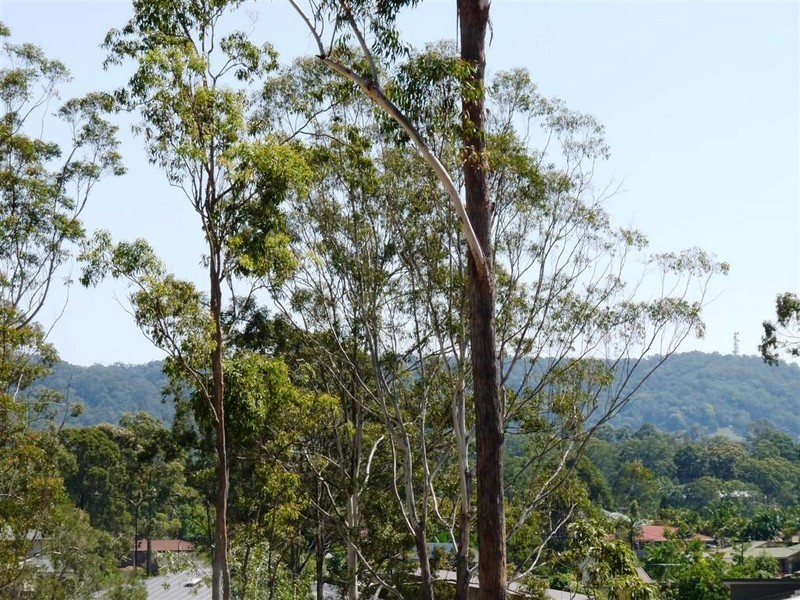 Mount Cotton QLD 4165