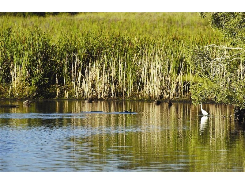 52 Azure Avenue, Redland Bay QLD 4165